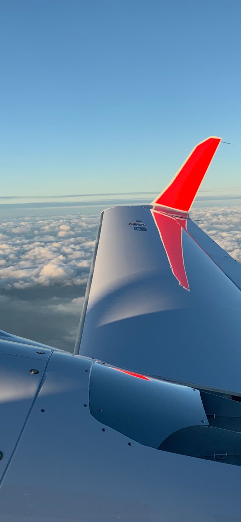 flight wing